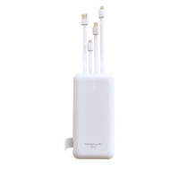 Self Wired Multi-function Output Power Bank