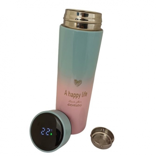 LED Temperature Display Ombre Flask